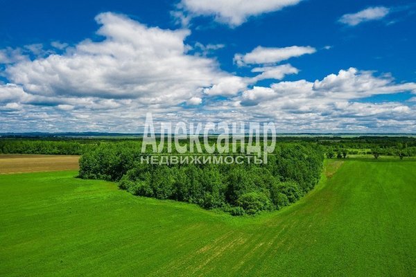 Объект по адресу Москва, Можжевельниково п 