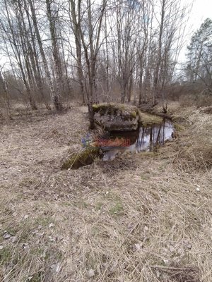 Объект по адресу Москва, Возрождение п 