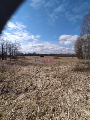 Объект по адресу Москва, Возрождение п 