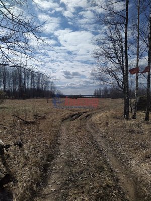 Объект по адресу Москва, Возрождение п 