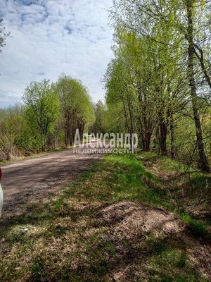 Объект по адресу Ленинградская обл, Выборгский р-н, Балтиец п, Королевская дорога ул