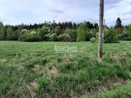 Объект по адресу Москва, Лужайка п. ж/д ст. 