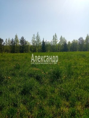 Объект по адресу Москва, Дятлово п 