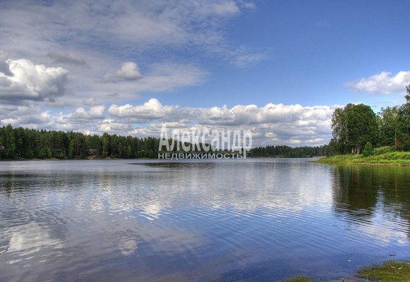 Объект по адресу Москва, Волочаевка п 