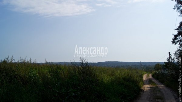Объект по адресу Москва, Волочаевка п 