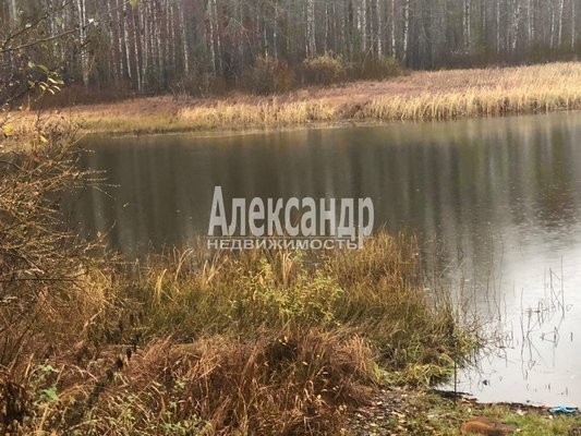 Объект по адресу Москва, Камышовка д 