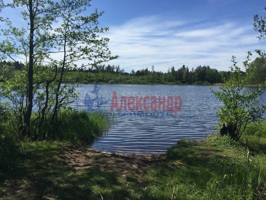 Объект по адресу Москва, Бор п 