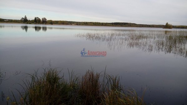 Объект по адресу Москва, Бор п 