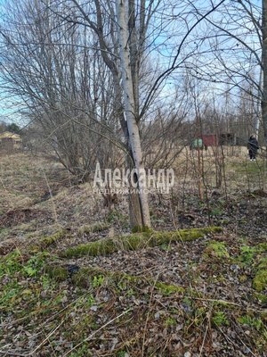 Объект по адресу Ленинградская обл, Выборгский р-н, Прибылово п, Новая ул