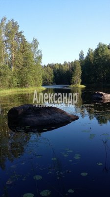 Объект по адресу Москва, Хвойное д 