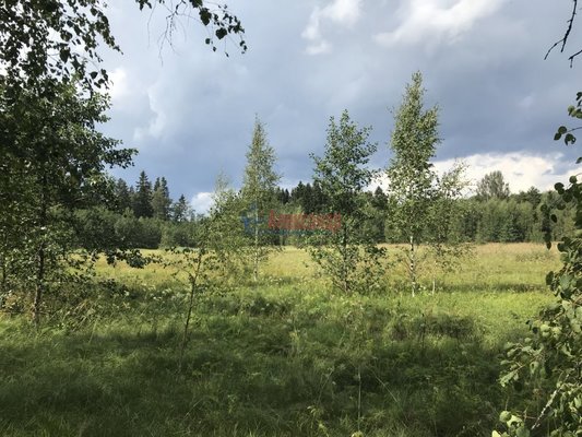 Объект по адресу Москва, Соколинское п 