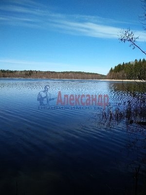 Объект по адресу Ленинградская обл, Выборгский р-н, Глубокое п, Утиная ул