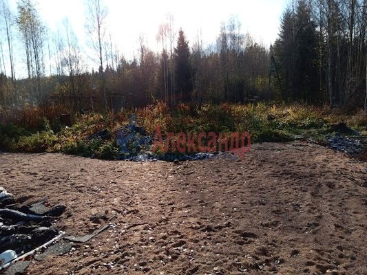 Объект по адресу Москва, Центральный снт 