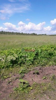 Объект по адресу Ленинградская обл, Выборгский р-н, Гончарово п, Светлая ул