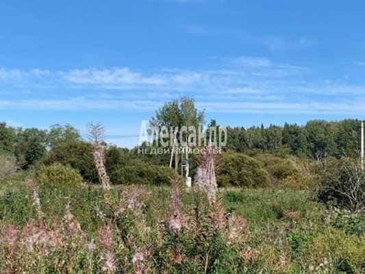 Объект по адресу Ленинградская обл, Приозерский р-н, Мельниково п, Тихая ул