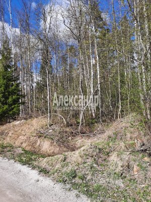 Объект по адресу Москва, СНТ Алмаз массива Березово тер 
