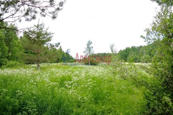 Объект по адресу Москва, Бор п 
