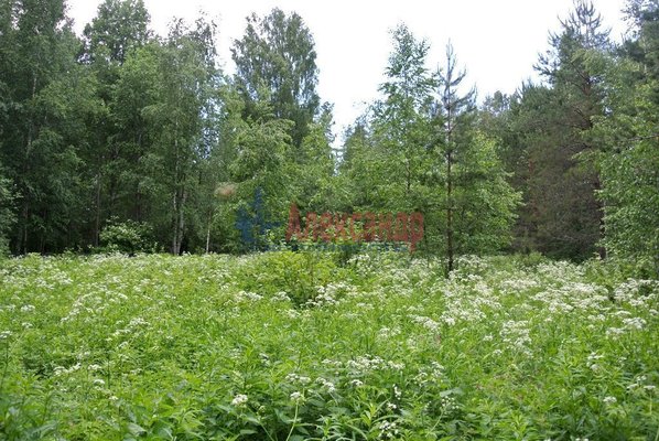 Объект по адресу Москва, Бор п 
