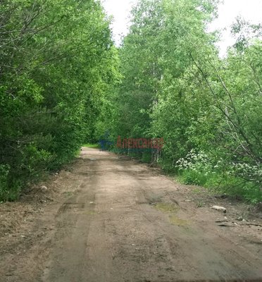 Объект по адресу Москва, Бор п 