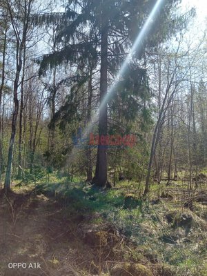 Объект по адресу Москва, Кротово п 