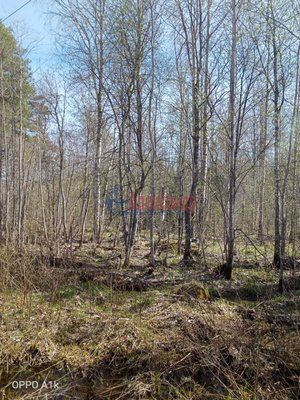 Объект по адресу Москва, Кротово п 