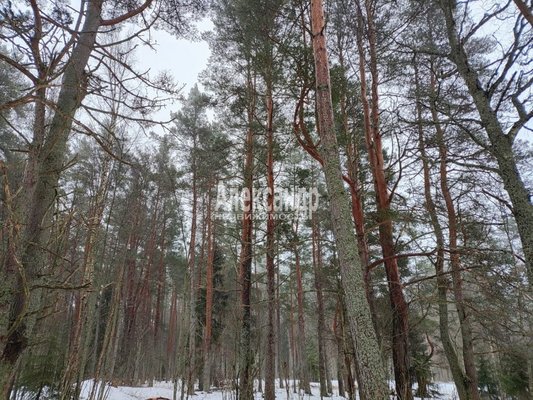 Объект по адресу Москва, Бор п 