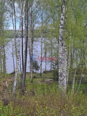Объект по адресу Москва, Клеверное п 