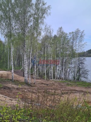 Объект по адресу Москва, Клеверное п 