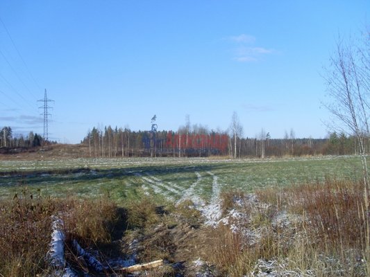 Объект по адресу Москва, Михалево п 