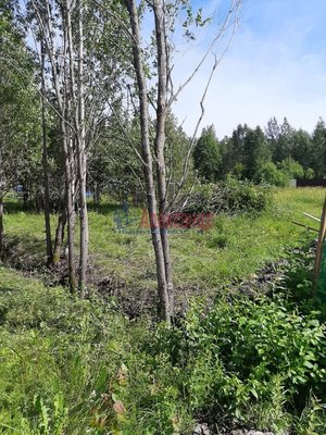 Объект по адресу Москва, Родник(п.Красный Холм) снт 