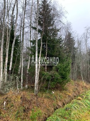 Объект по адресу Москва, СНТ Алмаз массива Березово тер 