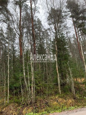 Объект по адресу Москва, СНТ Алмаз массива Березово тер 