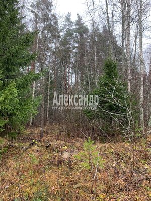 Объект по адресу Москва, СНТ Алмаз массива Березово тер 