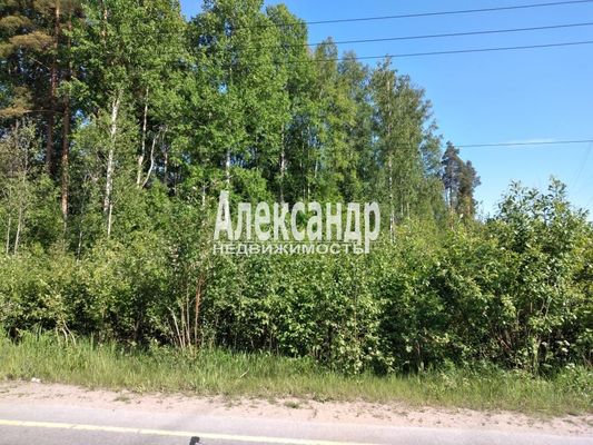 Объект по адресу Москва, Ромашки п 