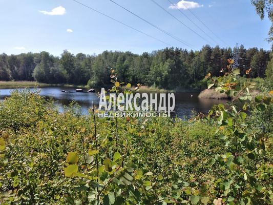 Объект по адресу Москва, Ромашки п 