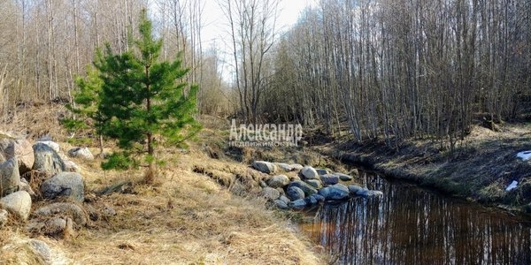 Объект по адресу Ленинградская обл, Приозерский р-н, Громово п. ж/д ст., Луговой пер, д. 5