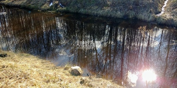 Объект по адресу Ленинградская обл, Приозерский р-н, Громово п. ж/д ст., Луговой пер, д. 5