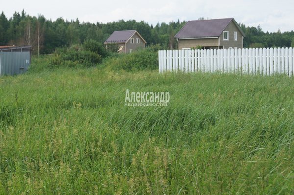 Объект по адресу Москва, Проба массив 