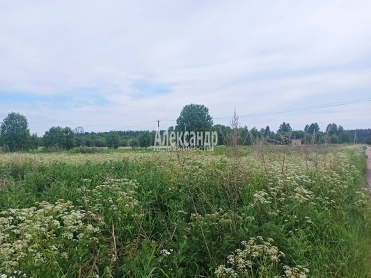 Объект по адресу Ленинградская обл, Выборгский р-н, Селезнево п, 3-й Полевой проезд