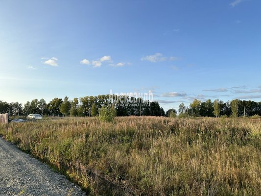 Объект по адресу Москва, Солнечное тер 