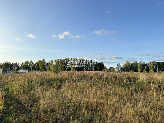 Объект по адресу Москва, Солнечное тер 
