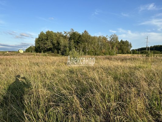 Объект по адресу Москва, Солнечное тер 