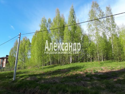 Объект по адресу Москва, Колтуши д 