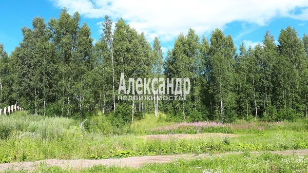 Объект по адресу Москва, Колтуши д 