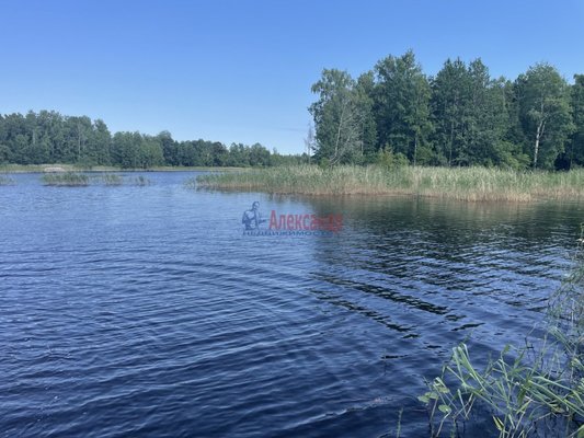 Объект по адресу Москва, Беличье п 