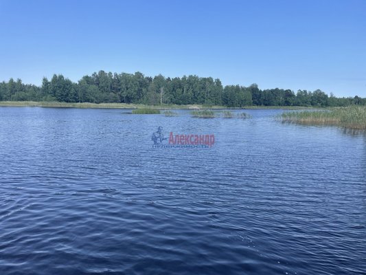 Объект по адресу Москва, Беличье п 