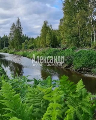 Объект по адресу Москва, Бор п 