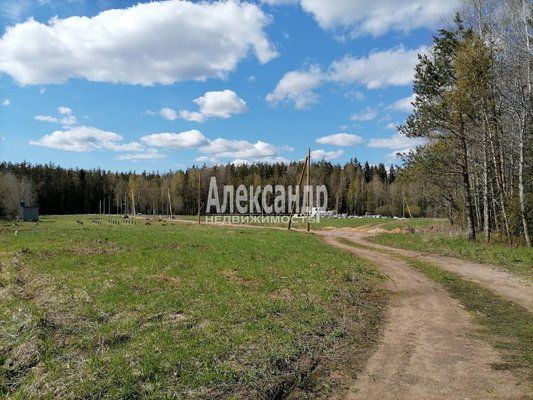 Объект по адресу Москва, Бор п 