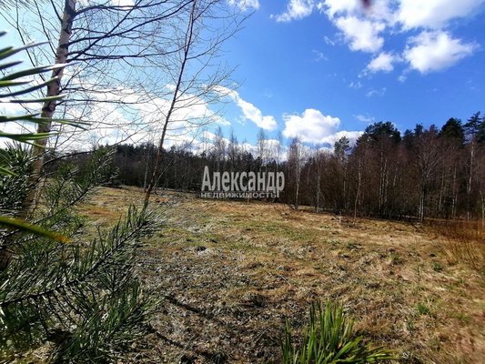 Объект по адресу Москва, Ларионово п 