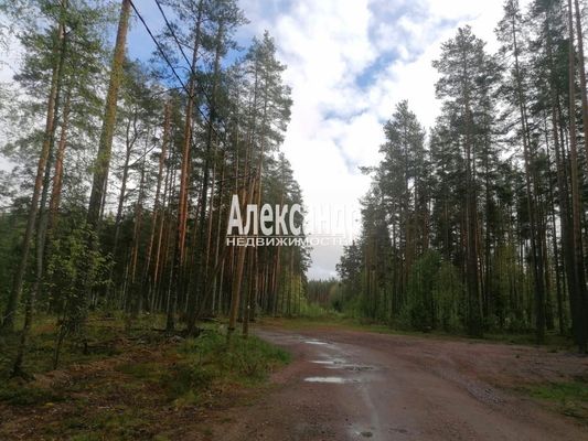 Объект по адресу Москва, Ларионово п 